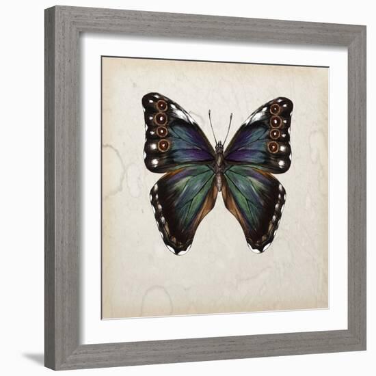 Butterfly Study III-Melissa Wang-Framed Art Print