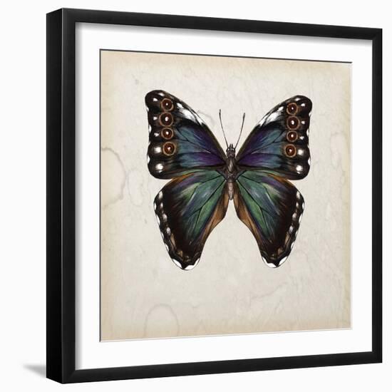 Butterfly Study III-Melissa Wang-Framed Art Print