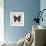 Butterfly Study III-Melissa Wang-Framed Art Print displayed on a wall