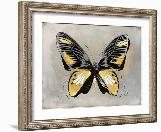 Butterfly Study III-Julia Bosco-Framed Art Print