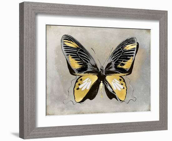 Butterfly Study III-Julia Bosco-Framed Art Print