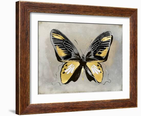 Butterfly Study III-Julia Bosco-Framed Art Print