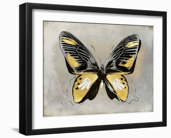 Butterfly Study III-Julia Bosco-Framed Art Print