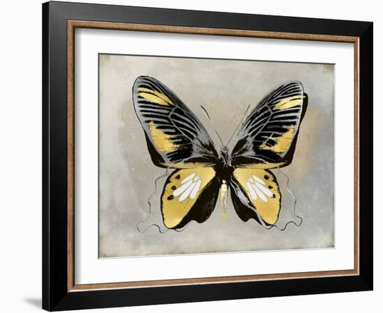 Butterfly Study III-Julia Bosco-Framed Art Print