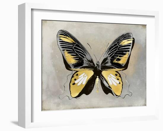 Butterfly Study III-Julia Bosco-Framed Art Print