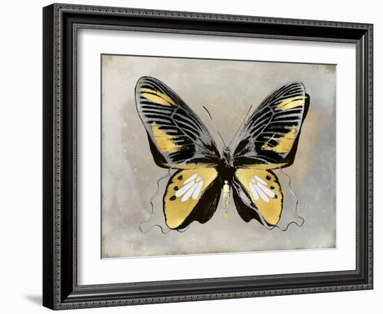 Butterfly Study III-Julia Bosco-Framed Art Print