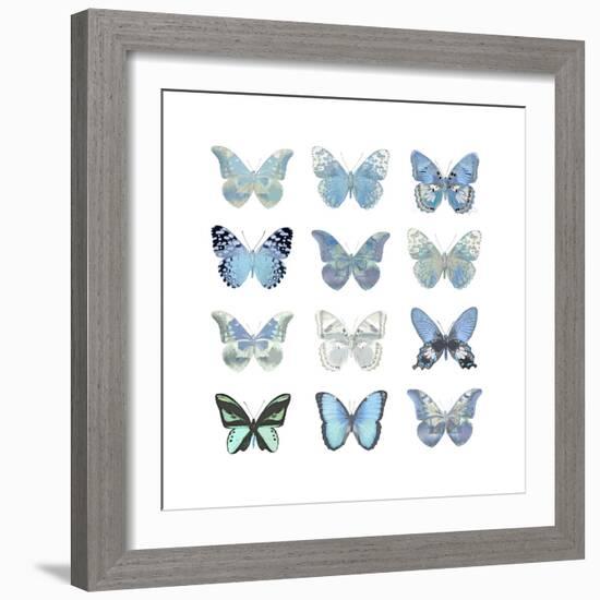 Butterfly Study in Blue I-Julia Bosco-Framed Art Print
