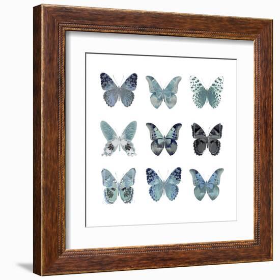 Butterfly Study in Blue II-Julia Bosco-Framed Art Print