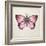 Butterfly Study IV-Melissa Wang-Framed Art Print