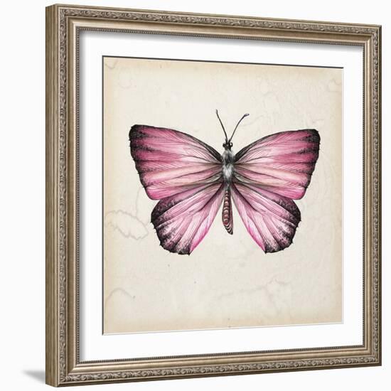 Butterfly Study IV-Melissa Wang-Framed Art Print