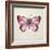 Butterfly Study IV-Melissa Wang-Framed Art Print