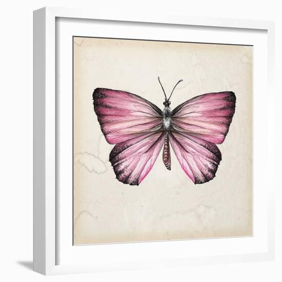 Butterfly Study IV-Melissa Wang-Framed Art Print