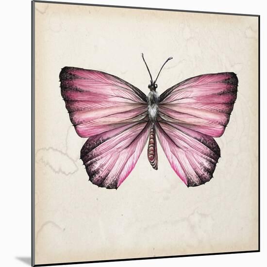 Butterfly Study IV-Melissa Wang-Mounted Art Print