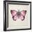 Butterfly Study IV-Melissa Wang-Framed Art Print