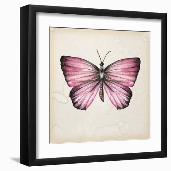 Butterfly Study IV-Melissa Wang-Framed Art Print