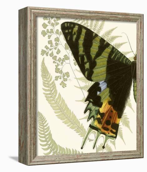 Butterfly Symmetry I-null-Framed Giclee Print