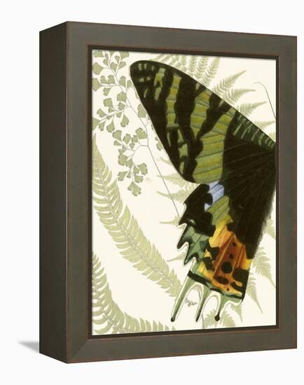 Butterfly Symmetry I-Vision Studio-Framed Stretched Canvas