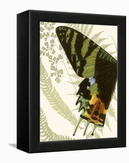 Butterfly Symmetry I-Vision Studio-Framed Stretched Canvas