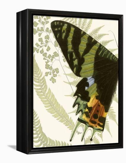 Butterfly Symmetry I-Vision Studio-Framed Stretched Canvas