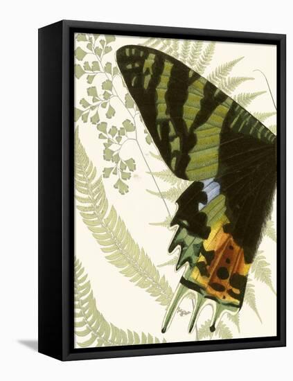 Butterfly Symmetry I-Vision Studio-Framed Stretched Canvas