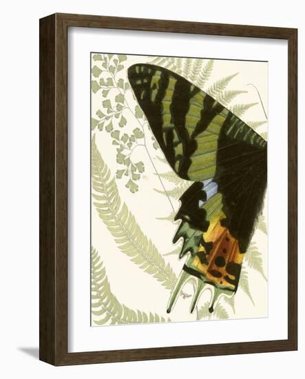 Butterfly Symmetry I-Vision Studio-Framed Premium Giclee Print