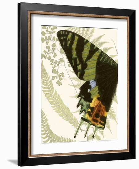 Butterfly Symmetry I-Vision Studio-Framed Premium Giclee Print