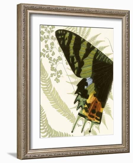 Butterfly Symmetry I-Vision Studio-Framed Art Print