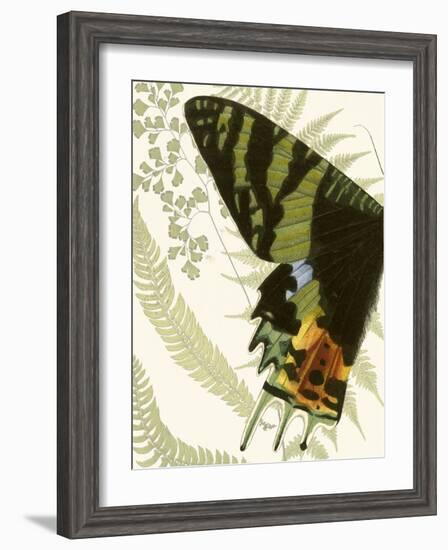 Butterfly Symmetry I-Vision Studio-Framed Art Print