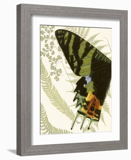 Butterfly Symmetry I-Vision Studio-Framed Art Print