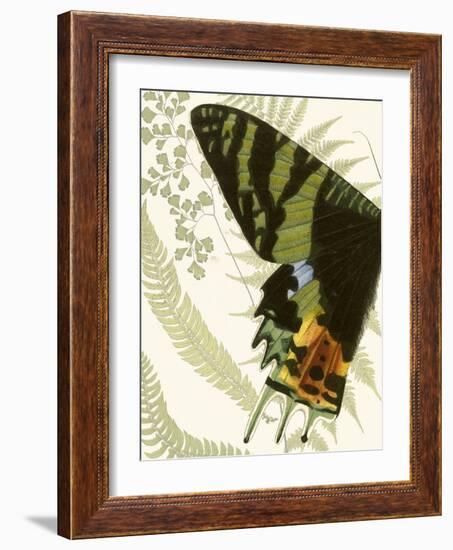 Butterfly Symmetry I-Vision Studio-Framed Art Print