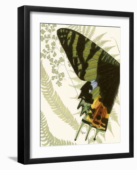 Butterfly Symmetry I-Vision Studio-Framed Art Print