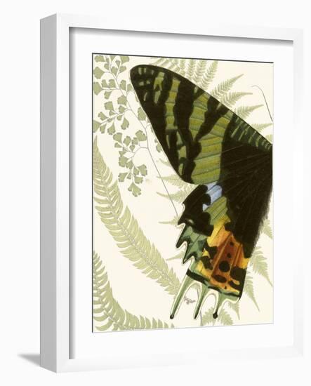 Butterfly Symmetry I-Vision Studio-Framed Art Print