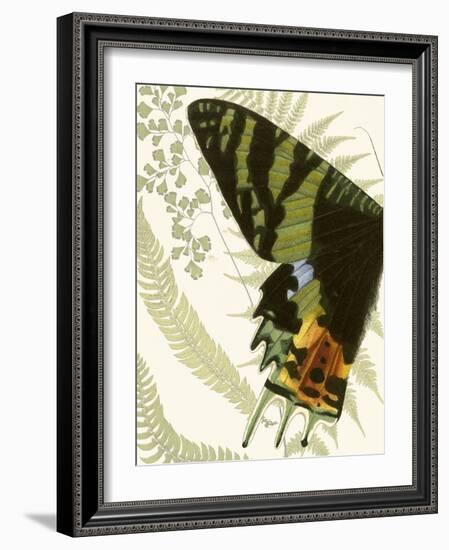 Butterfly Symmetry I-Vision Studio-Framed Art Print