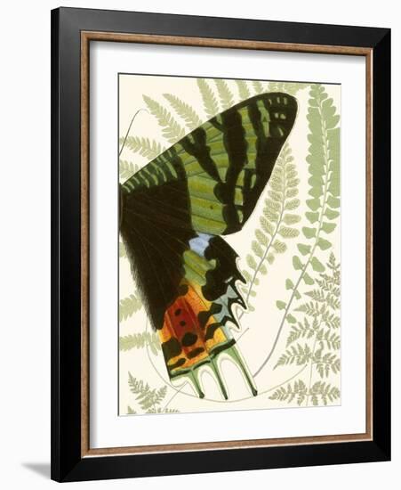 Butterfly Symmetry II-Vision Studio-Framed Premium Giclee Print