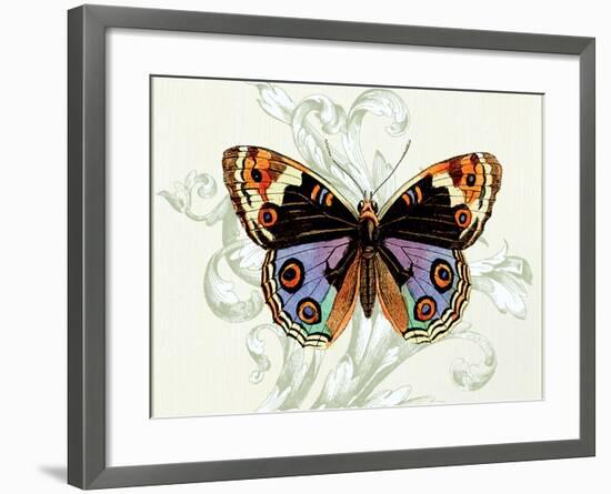 Butterfly Theme I-Susan Davies-Framed Art Print