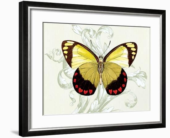 Butterfly Theme II-Susan Davies-Framed Art Print