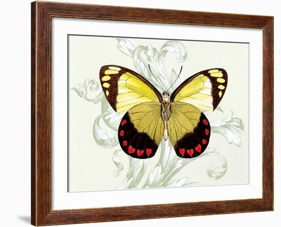 Butterfly Theme II-Susan Davies-Framed Art Print