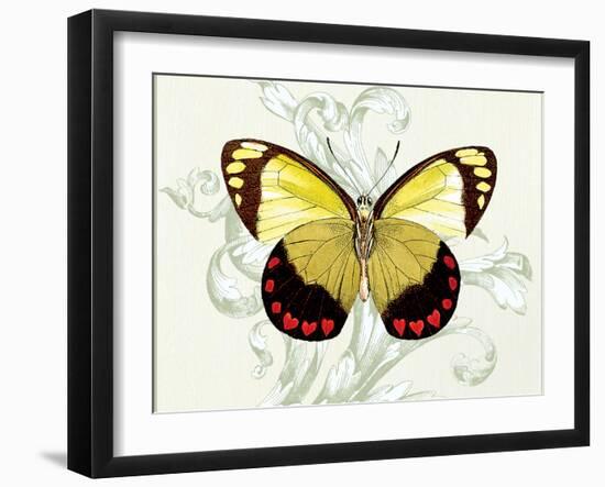 Butterfly Theme II-Susan Davies-Framed Art Print