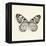 Butterfly V BW Crop-Debra Van Swearingen-Framed Stretched Canvas