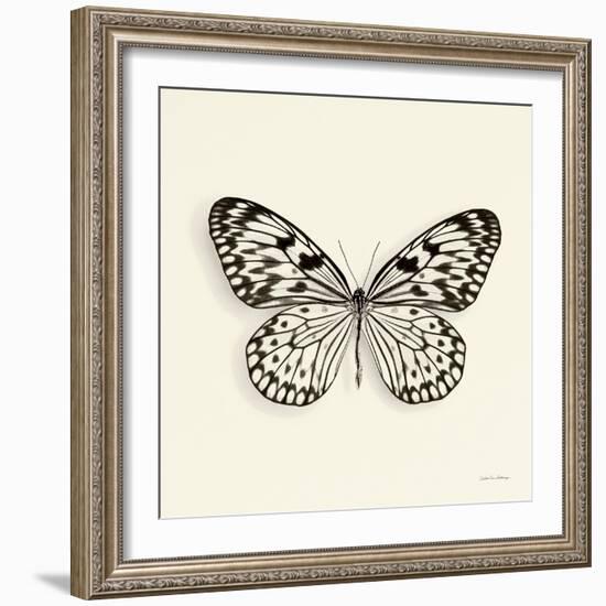 Butterfly V BW Crop-Debra Van Swearingen-Framed Art Print