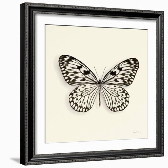 Butterfly V BW Crop-Debra Van Swearingen-Framed Art Print