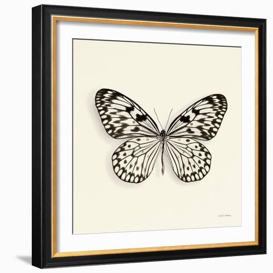 Butterfly V BW Crop-Debra Van Swearingen-Framed Art Print