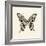 Butterfly VI BW Crop-Debra Van Swearingen-Framed Art Print