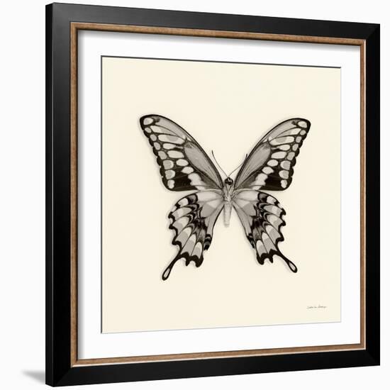 Butterfly VI BW Crop-Debra Van Swearingen-Framed Art Print