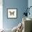 Butterfly VI BW Crop-Debra Van Swearingen-Framed Art Print displayed on a wall