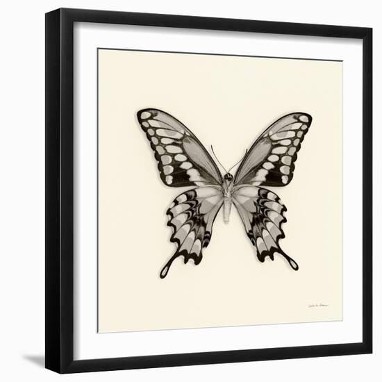 Butterfly VI BW Crop-Debra Van Swearingen-Framed Art Print