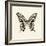 Butterfly VI BW Crop-Debra Van Swearingen-Framed Art Print