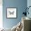 Butterfly VII-Sophie Golaz-Framed Premium Giclee Print displayed on a wall