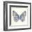 Butterfly VII-Sophie Golaz-Framed Premium Giclee Print