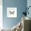 Butterfly VII-Sophie Golaz-Framed Premium Giclee Print displayed on a wall